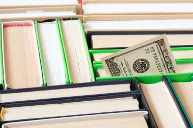 kitaplardan birinde kitap serisi yüz dolarlık banknot eklenmiş
