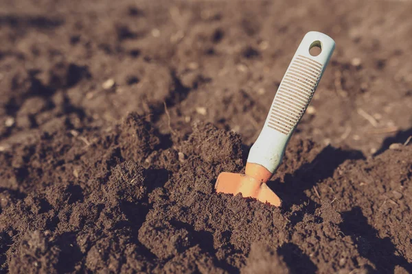 Cucharada para la jardinería pegada en el suelo después de aflojar, antes de plantar la cosecha —  Fotos de Stock