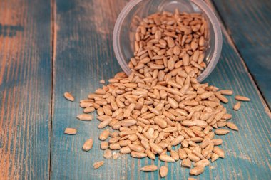 ahşap bir yüzey üzerinde plastik bir Fincan dağınık ayçiçeği tohumları