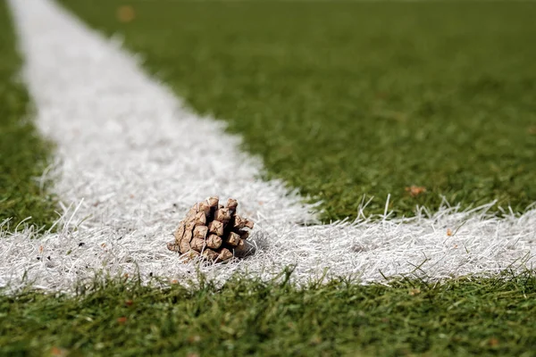 Белые полоски на футбольном поле сосновый конус упал на них — стоковое фото