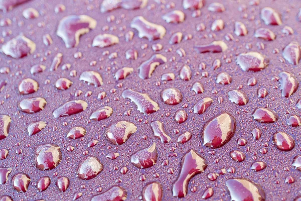 texture of frozen water droplets on a metallic surface of lilac color. abstract winter time background on metal