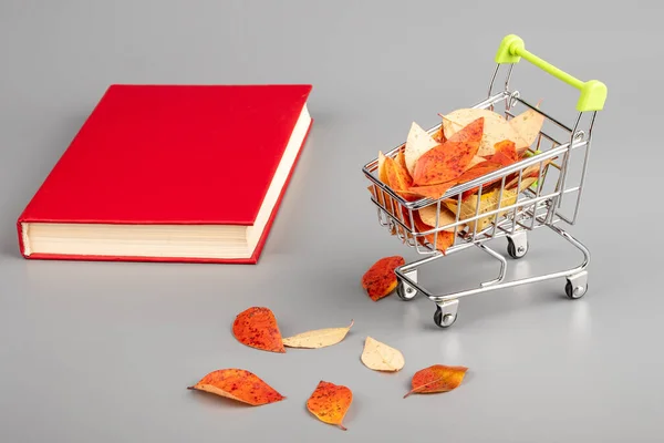 一本红色的书 背景是灰色的 靠近一辆秋天落叶的超市推车 秋季销售和采购时间 — 图库照片
