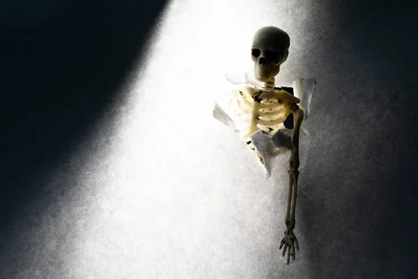 Esqueleto Sobre Textura Papel Retroiluminado Luz Atrapada Muerte — Foto de Stock