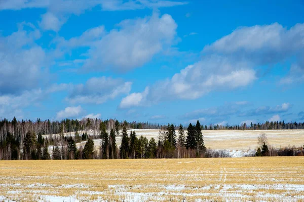 Öndeki bir orman bölgesinde kış manzarası eğimli bir tarla, arka plandaki dağlık orman arazisi ve bulutlar. Doğada açık bir gün