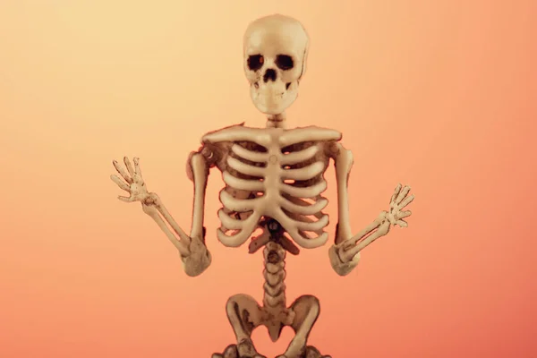 Skelettet Rosa Bakgrund Kastar Upp Händerna Förvirring Förstår Vad Som — Stockfoto