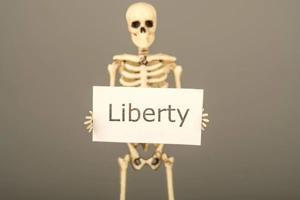 Squelette Sur Fond Noir Tient Une Affiche Avec Liberté Inscription — Photo
