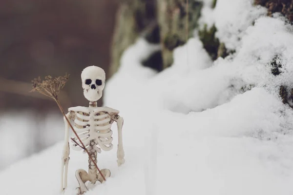 Floresta Inverno Coberta Neve Primeiro Plano Esqueleto Brinquedo Associação Inverno — Fotografia de Stock