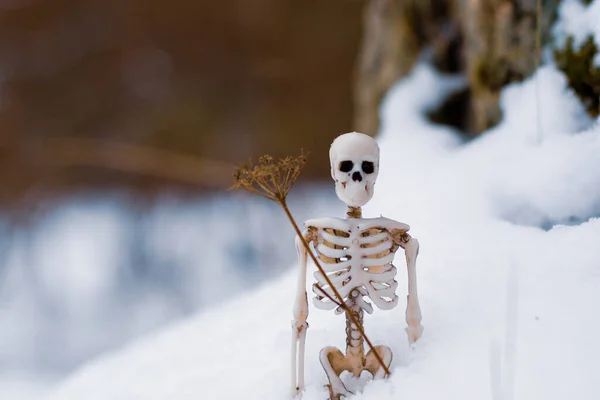 human skeleton in the snow against the background of a winter forest. concept of comparing winter and death