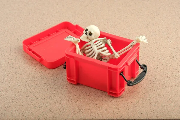 Czaszka Inne Części Szkieletu Zostały Zebrane Czerwonym Plastikowym Pudełku Rozmontowany — Zdjęcie stockowe