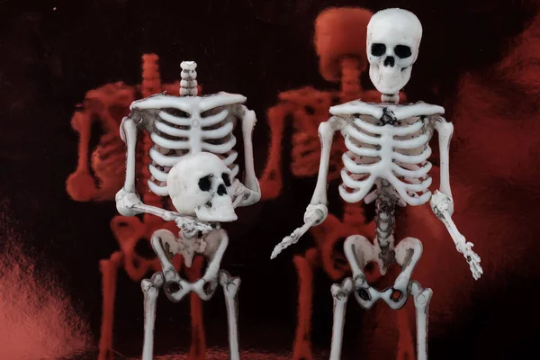 Два Скелети Іграшок Людини Стоять Дзеркальній Поверхні Один Тримає Голову — стокове фото
