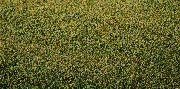 ᐈ Paisajes naturales imágenes de stock, fotos paisaje natural