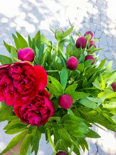 bunch red flowers isolated on white