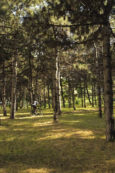 A man riding a bicycle in a forest. Nature, travel