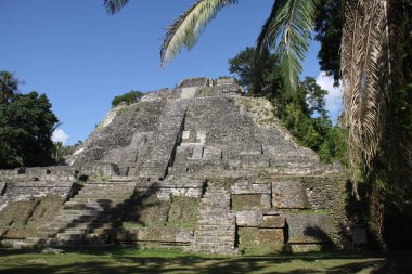 Myan piramit Lamanai Belize