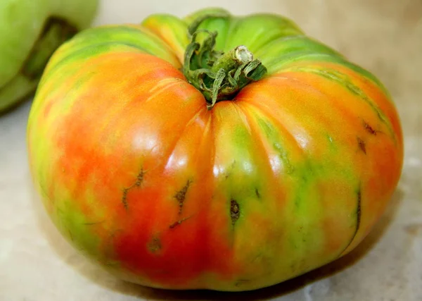 Grote Verse Kleurrijke Tomaat — Stockfoto