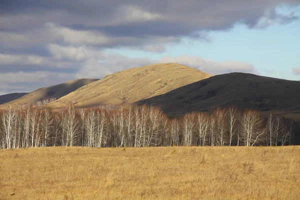 Yellow and black mountains