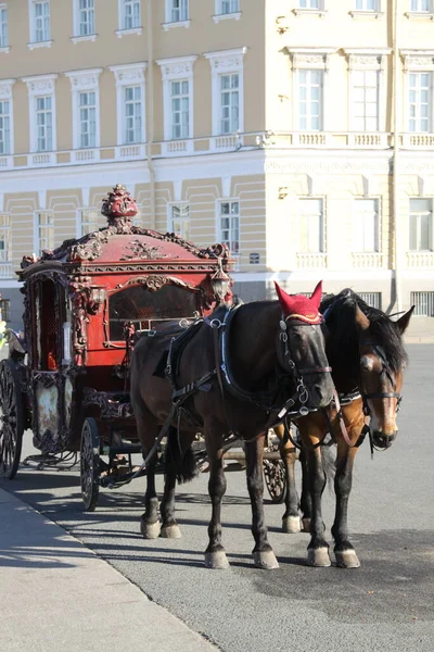 Två Hästar Och Röd Vagn Stockfoto
