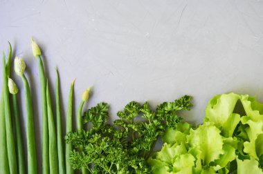 Gri bir arka plan üzerinde taze yeşillik                              