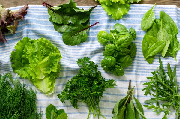 Havludaki farklı taze bitkiler.