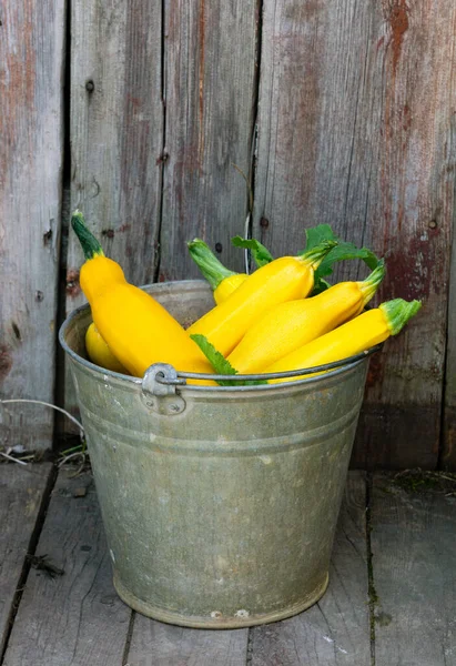 Zucchine Gialle Secchio Fondo Legno — Foto Stock