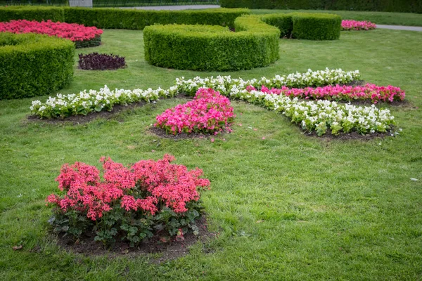 Kwietnik Różnych Kwiatów Żywopłoty Zielony Łąka Volksgarten Vienna Austria — Zdjęcie stockowe