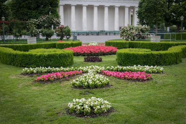 Квітник Різних Квітів Живоплоти Зеленого Лука Volksgarten Відень Австрія Храм — стокове фото