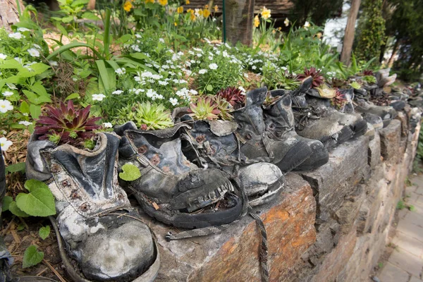 Botas Senderismo Viejas Paradas Una Pared Piedra Usadas Como Macetas — Foto de Stock