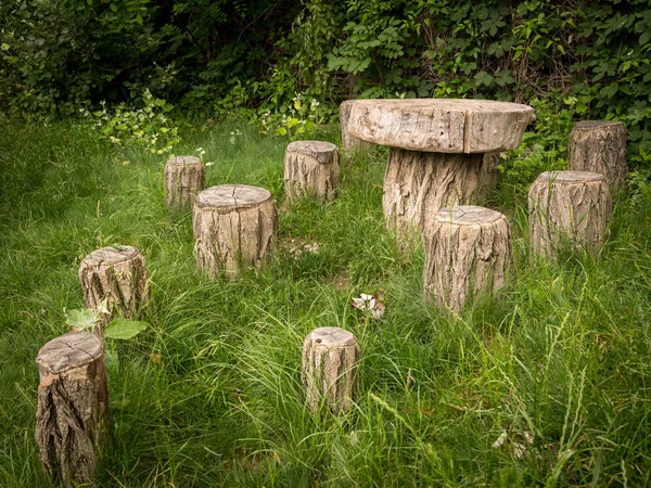 Petite Table Rurale Sièges Troncs Arbres Prairie Verte — Photo