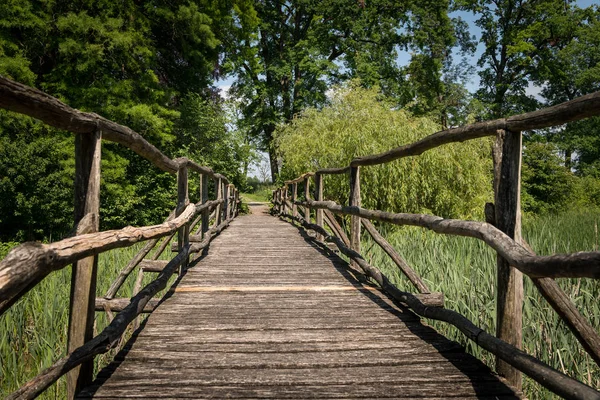 Uma Ponte Estreita Feita Madeira Que Leva Sobre Uma Zona — Fotografia de Stock