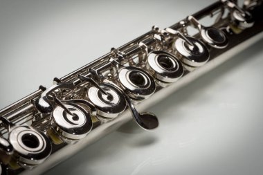 Gümüş flüt closeup anahtarları bir platin kaplama