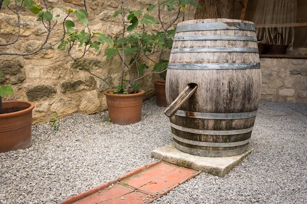 Popo Bir Bahçe Olarak Kullanılan Eski Şarap Varil — Stok fotoğraf