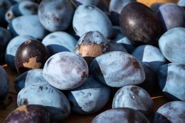 Olgun erik sonbahar güneşli bir günde bir tepsi üzerinde yatarken yığını