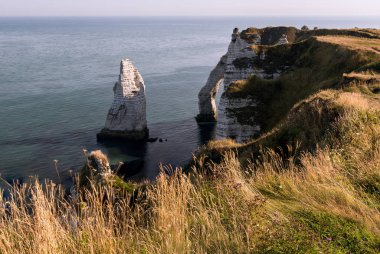 Porte d'Aval ve L'Aiguille adı verilen taş iğne Etretat (Normandiya Fransa) tebeşir kayalıklarla doğal ile kemer