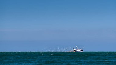 Yaz aylarında güneşli bir deniz martı Etretat (Normandiya Fransa) yakınındaki bir grupla Fisher tekne