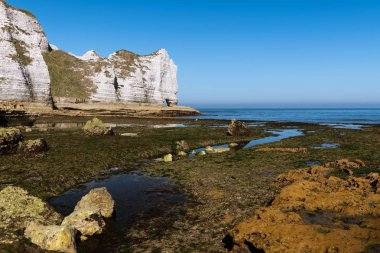 Etretat (Normandiya Fransa) kayalıklarla doğal arch ile Porte d'Amont tebeşir