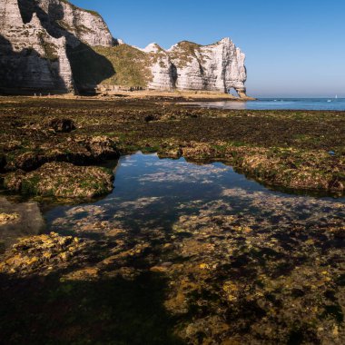 Etretat (Normandiya Fransa) kayalıklarla doğal arch ile Porte d'Amont tebeşir