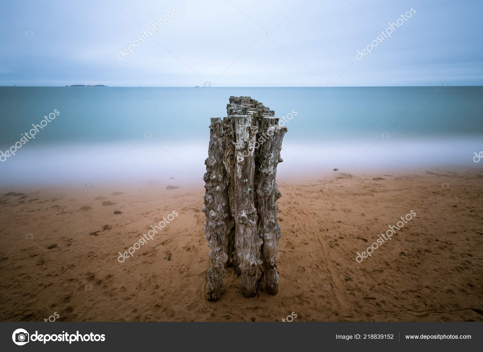 Vieux Usé Des Troncs Arbres Sur Plage Saint Malo France