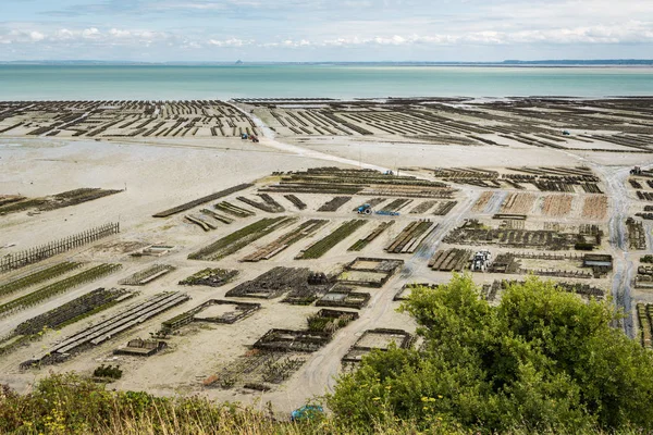 Oyster Farm Cancale France Sunny Day Summer — Stock Photo, Image