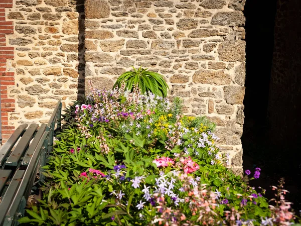 Blumen Auf Der Promenade Clair Lune Dinard Frankreich Einem Sonnigen — Stockfoto