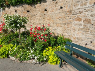 Promenade Clair de lune Dinard (Fransa), yaz aylarında güneşli bir çiçek