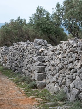 Olive grove, taş duvarlar ve merdivenler Cres, Hırvatistan city yakınındaki oteller
