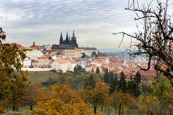 Собор Вита Праге Чехия Облачный День Осенью Цветные Листья — стоковое фото