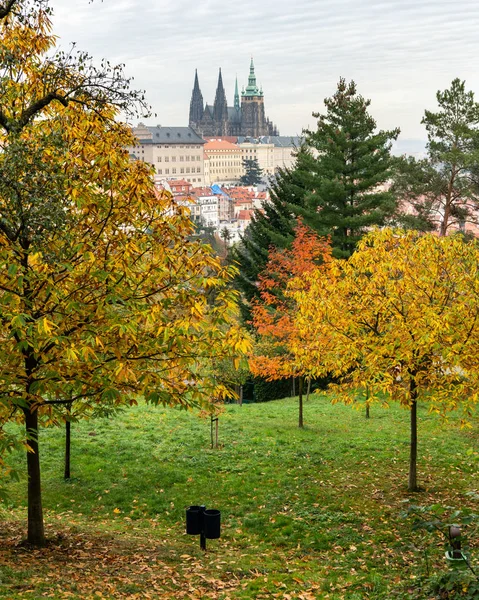 Katedrály Svatého Víta Praze Česká Republika Zamračený Den Podzim Barevné — Stock fotografie
