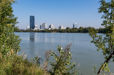 Yaz aylarında güneşli bir günde Tuna Viyana, Avusturya'da yakınındaki yüksek binaların manzarası