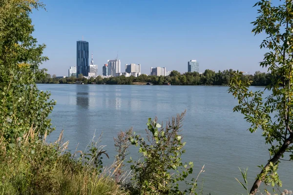 Yaz aylarında güneşli bir günde Tuna Viyana, Avusturya'da yakınındaki yüksek binaların manzarası