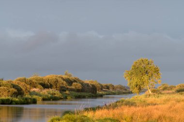 Breca yakınlarındaki Briere bataklık alanında gün batımı