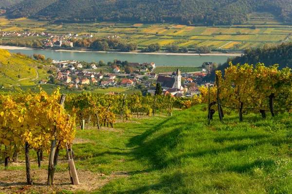 Colorful vineyards near Spitz an der Donau in autumn, blue sky — Stock Photo, Image