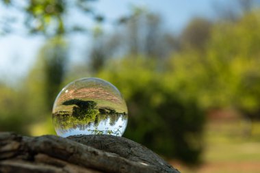 Bir ağacın dalı üzerinde yatan cam bir top