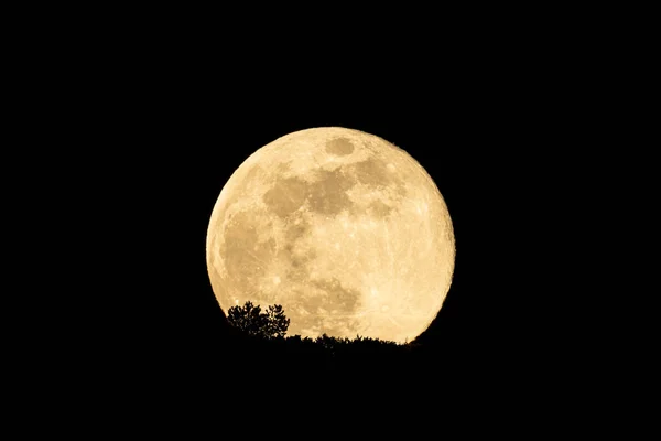 Luna piena che sorge dietro una collina con alberi — Foto Stock