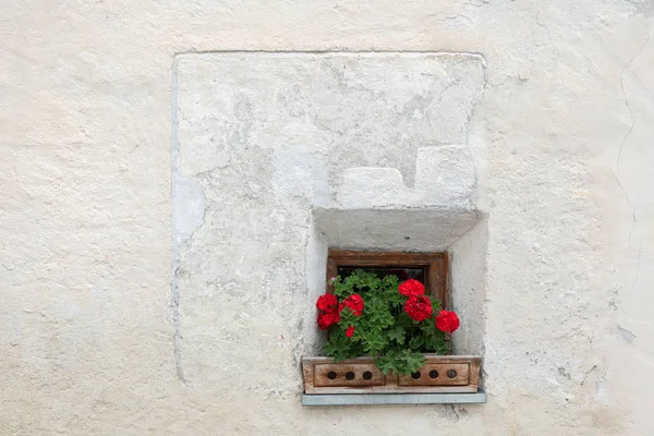 Stock image Red flowers in front of a small window of a very old house